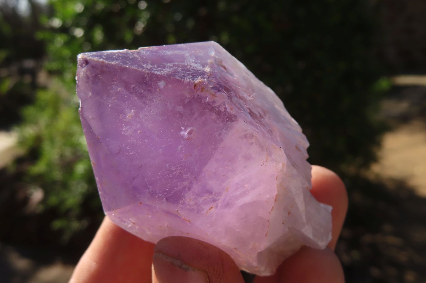 Natural Jacaranda Amethyst Crystals x 12 From Mumbwa, Zambia - Toprock Gemstones and Minerals 