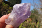 Natural Jacaranda Amethyst Crystals x 12 From Mumbwa, Zambia - Toprock Gemstones and Minerals 