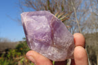 Natural Jacaranda Amethyst Crystals x 12 From Mumbwa, Zambia - Toprock Gemstones and Minerals 