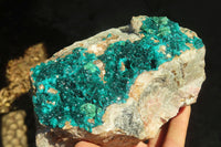 Natural Extra Large Dioptase Dolomite Specimen  x 1 From Congo