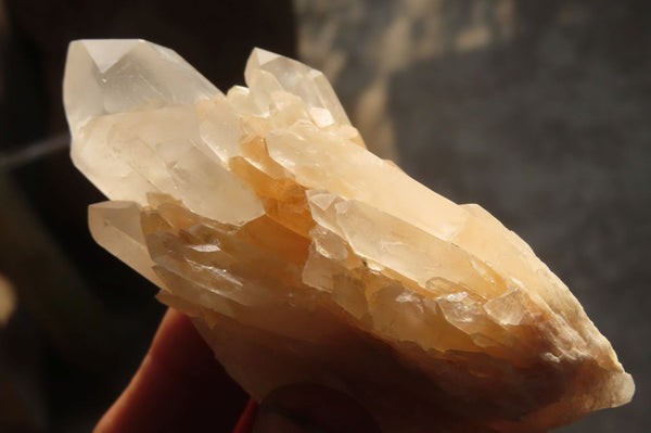 Natural Castle Quartz Specimens x 12 From Ivato, Madagascar - Toprock Gemstones and Minerals 