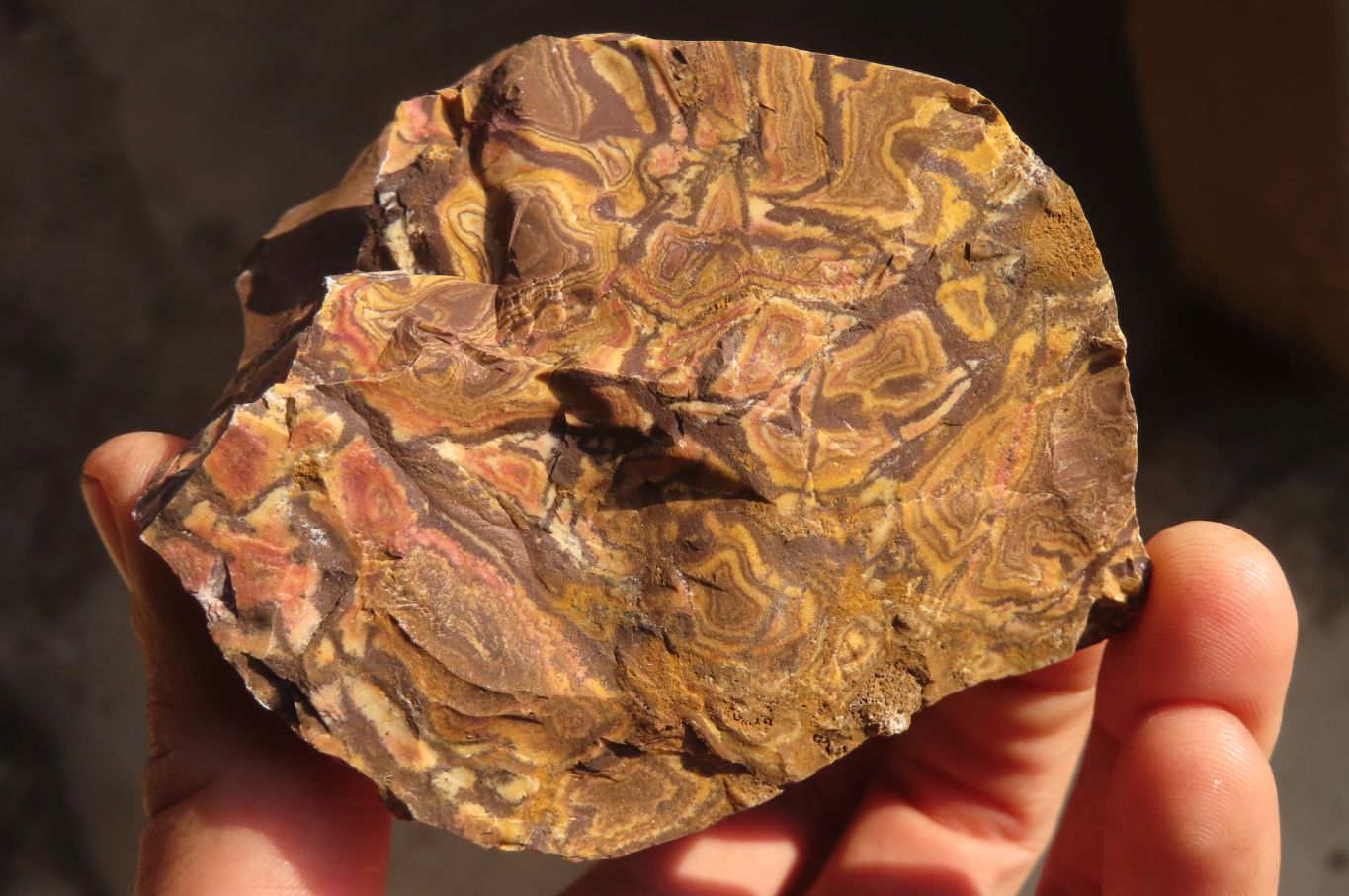 Natural Rough Nguni Jasper Cobbed Pieces  x 12 From Southern Africa - Toprock Gemstones and Minerals 