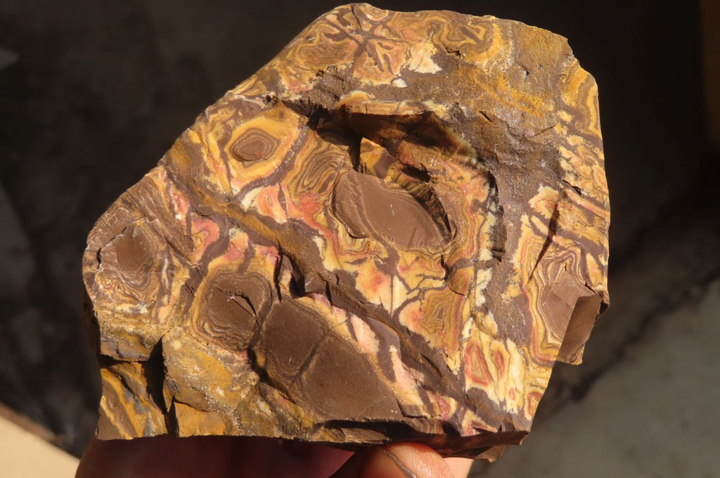 Natural Rough Nguni Jasper Cobbed Pieces  x 12 From Southern Africa - Toprock Gemstones and Minerals 