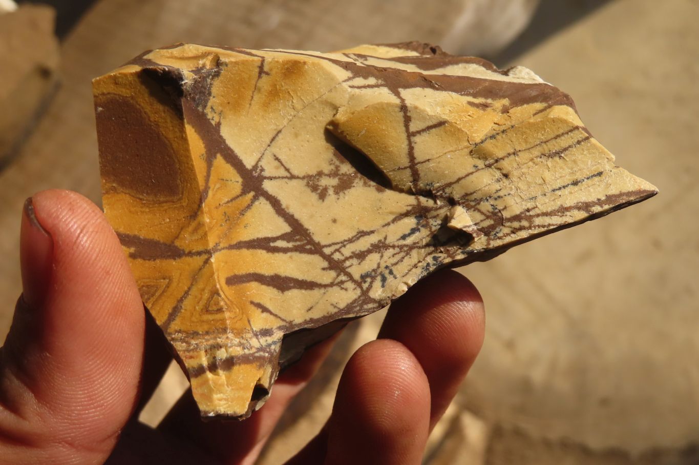 Natural Rough Nguni Jasper Cobbed Pieces  x 12 From Southern Africa - Toprock Gemstones and Minerals 