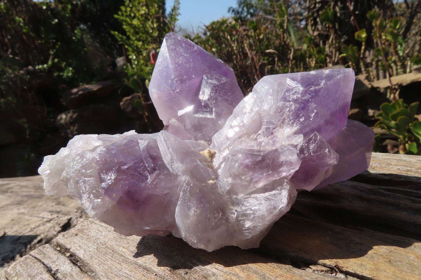 Natural Jacaranda Amethyst Clusters x 2 From Mumbwe, Zambia - Toprock Gemstones and Minerals 