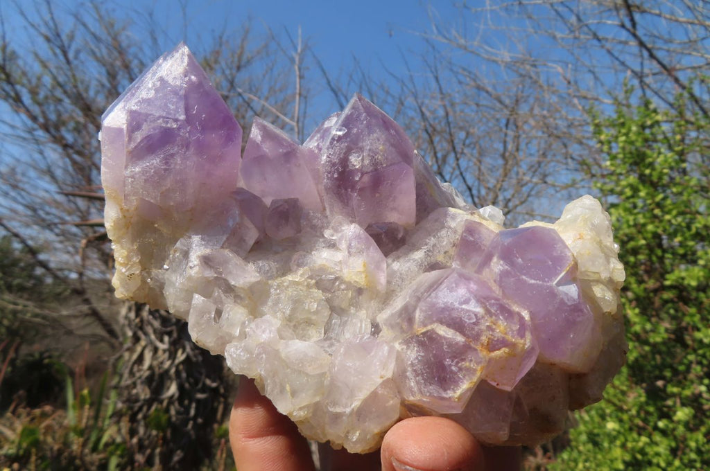 Natural Jacaranda Amethyst Clusters x 2 From Mumbwe, Zambia - Toprock Gemstones and Minerals 