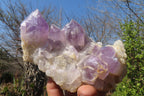 Natural Jacaranda Amethyst Clusters x 2 From Mumbwe, Zambia - Toprock Gemstones and Minerals 