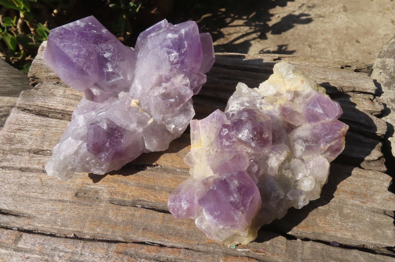 Natural Jacaranda Amethyst Clusters x 2 From Mumbwe, Zambia - Toprock Gemstones and Minerals 