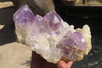 Natural Jacaranda Amethyst Clusters x 2 From Mumbwe, Zambia - Toprock Gemstones and Minerals 