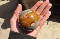 Polished Polychrome Jasper Spheres  x 6 From Mahajanga, Madagascar - Toprock Gemstones and Minerals 