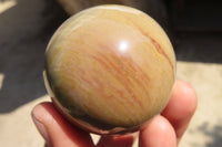 Polished Polychrome Jasper Spheres  x 6 From Mahajanga, Madagascar - Toprock Gemstones and Minerals 