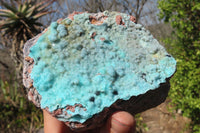Natural Drusy Chrysocolla Dolomite Specimens x 2 From Likasi, Congo - Toprock Gemstones and Minerals 