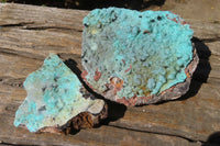 Natural Drusy Chrysocolla Dolomite Specimens x 2 From Likasi, Congo - Toprock Gemstones and Minerals 