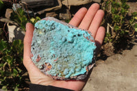 Natural Drusy Chrysocolla Dolomite Specimens x 2 From Likasi, Congo - Toprock Gemstones and Minerals 