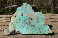 Natural Drusy Chrysocolla Dolomite Specimens x 2 From Likasi, Congo - Toprock Gemstones and Minerals 