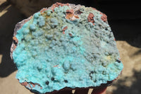 Natural Drusy Chrysocolla Dolomite Specimens x 2 From Likasi, Congo - Toprock Gemstones and Minerals 