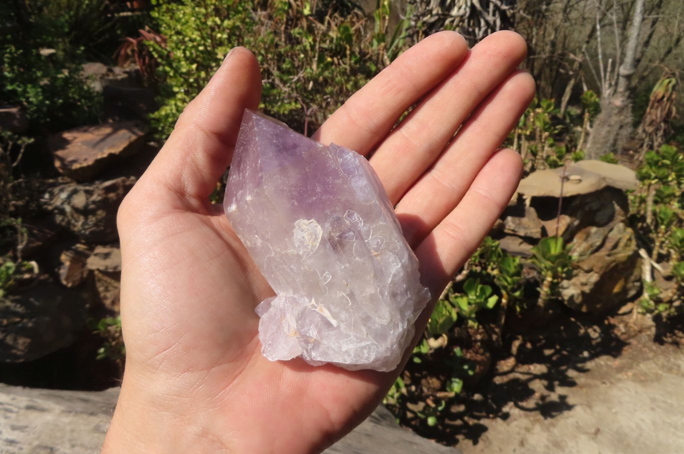 Natural Jacaranda Amethyst Crystals x 12 From Mumbwa, Zambia - Toprock Gemstones and Minerals 
