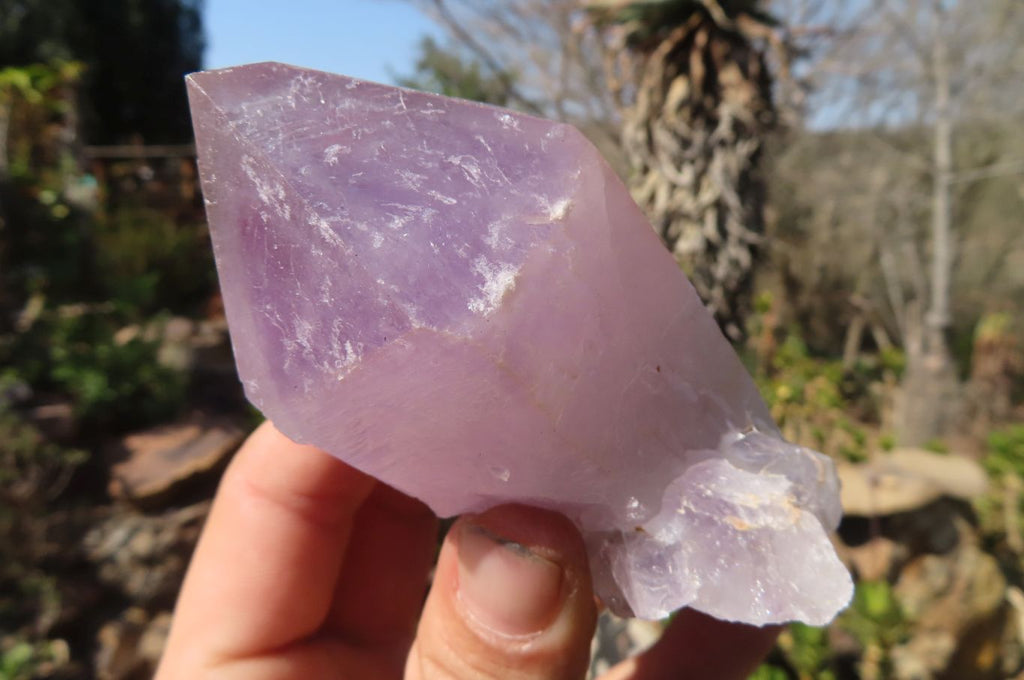 Natural Jacaranda Amethyst Crystals x 12 From Mumbwa, Zambia - Toprock Gemstones and Minerals 