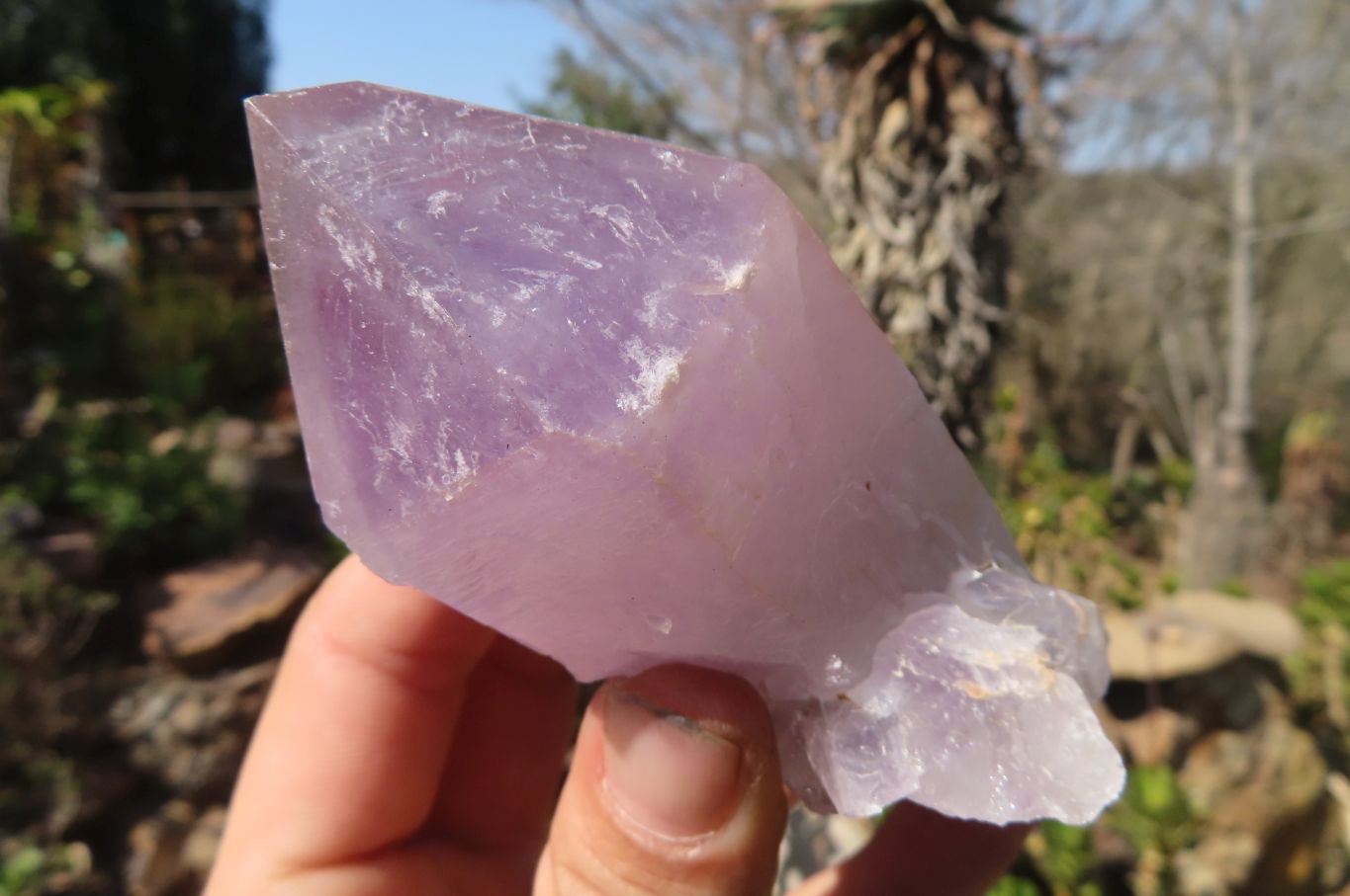Natural Jacaranda Amethyst Crystals x 12 From Mumbwa, Zambia - Toprock Gemstones and Minerals 