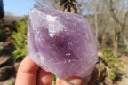 Natural Jacaranda Amethyst Crystals x 12 From Mumbwa, Zambia - Toprock Gemstones and Minerals 