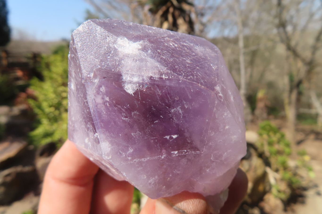 Natural Jacaranda Amethyst Crystals x 12 From Mumbwa, Zambia - Toprock Gemstones and Minerals 