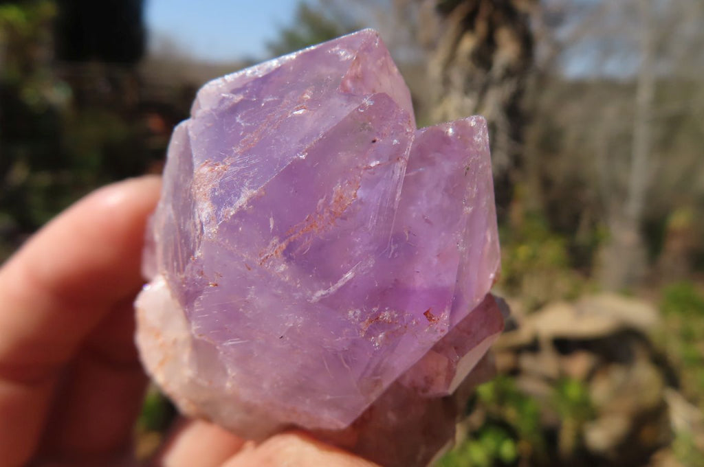 Natural Jacaranda Amethyst Crystals x 12 From Mumbwa, Zambia - Toprock Gemstones and Minerals 