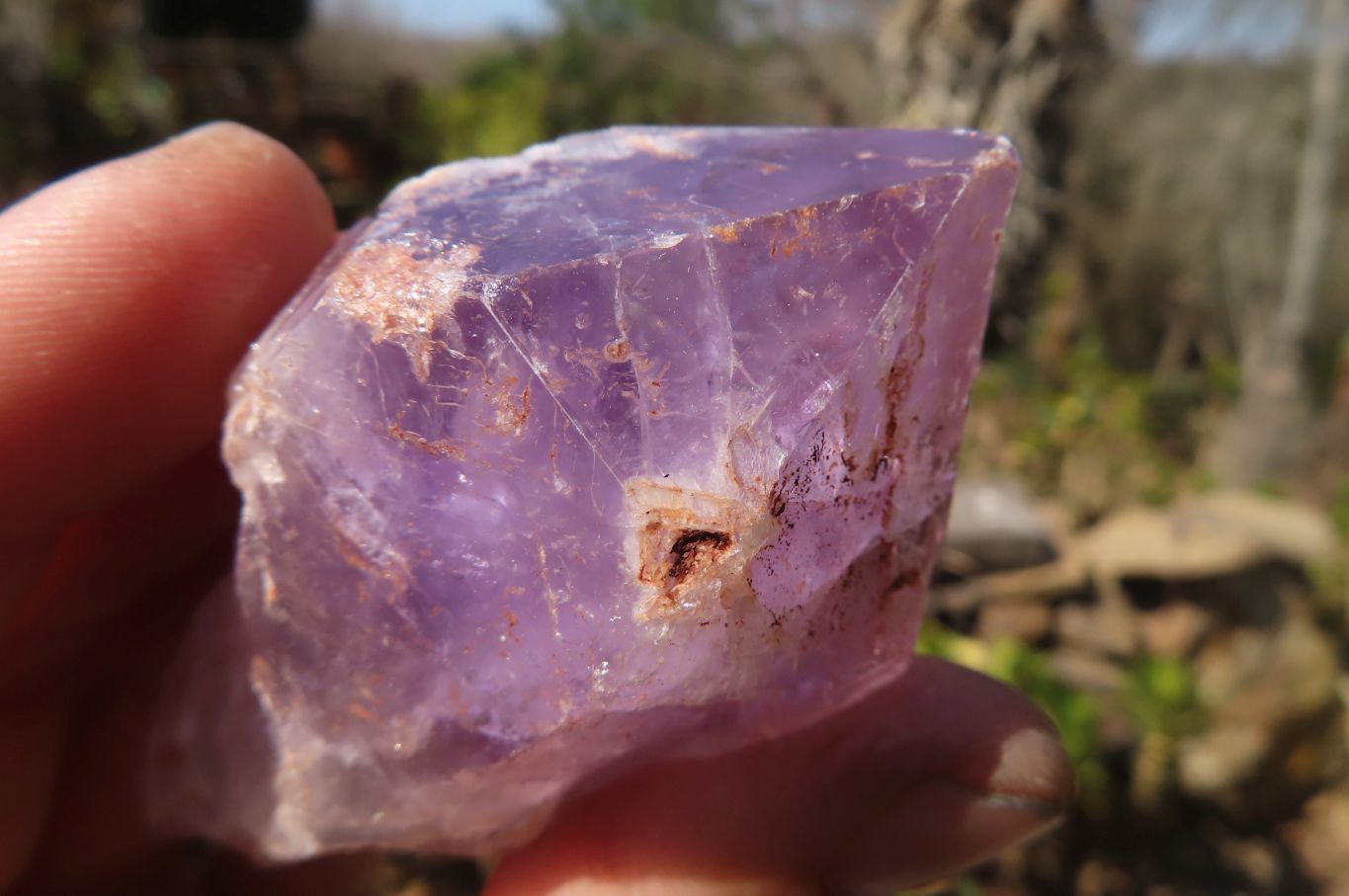 Natural Jacaranda Amethyst Crystals x 12 From Mumbwa, Zambia - Toprock Gemstones and Minerals 