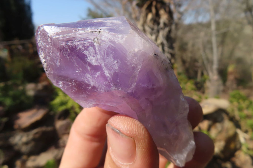 Natural Jacaranda Amethyst Crystals x 12 From Mumbwa, Zambia - Toprock Gemstones and Minerals 