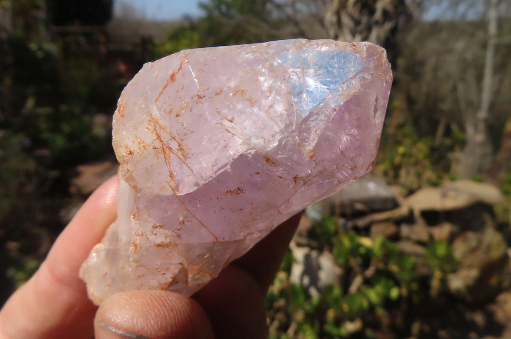 Natural Jacaranda Amethyst Crystals x 12 From Mumbwa, Zambia - Toprock Gemstones and Minerals 