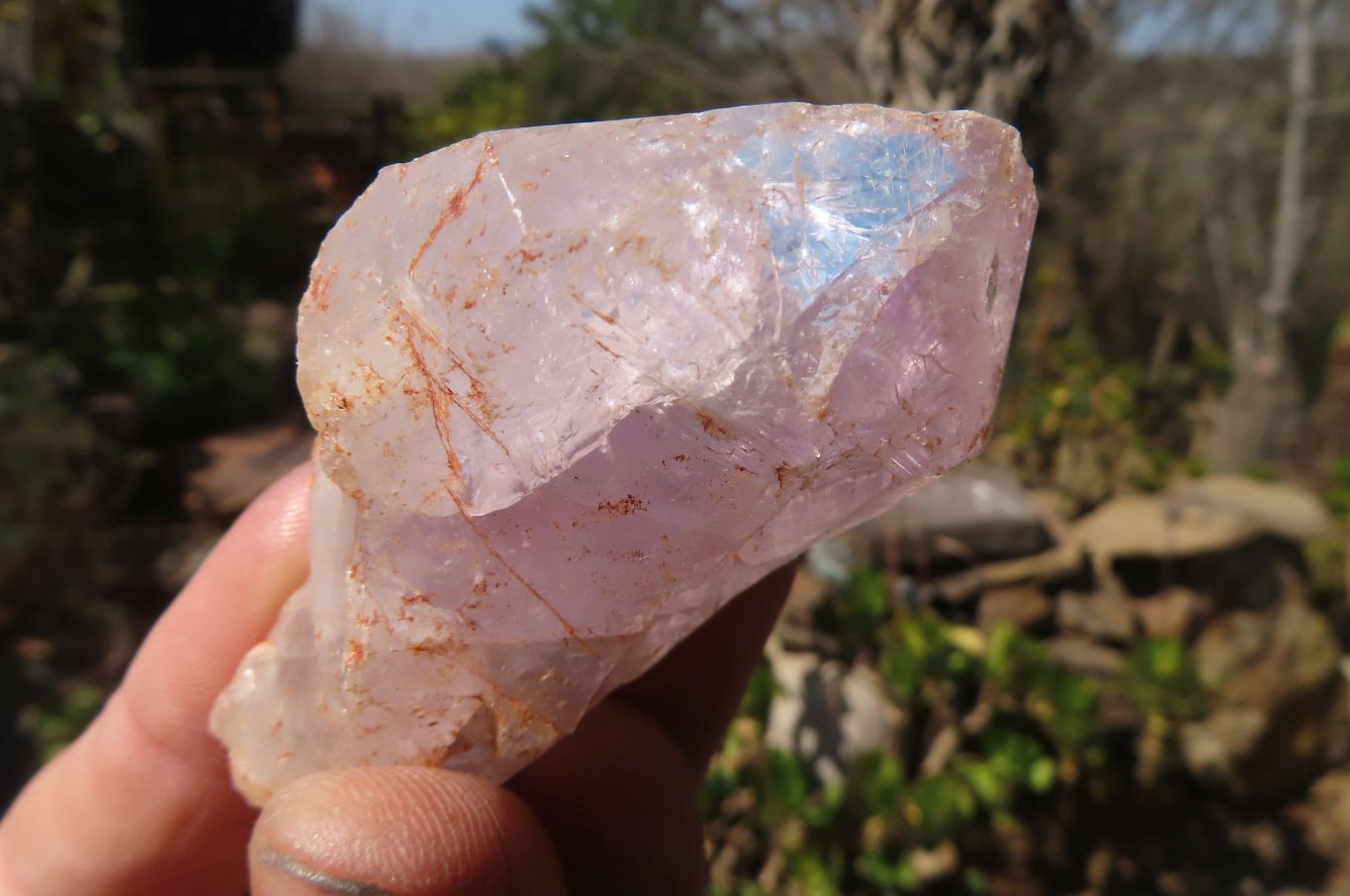 Natural Jacaranda Amethyst Crystals x 12 From Mumbwa, Zambia - Toprock Gemstones and Minerals 