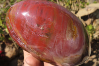 Polished Red Podocarpus Petrified Wood Standing Free Form x 1 From Mahajanga, Madagascar - Toprock Gemstones and Minerals 