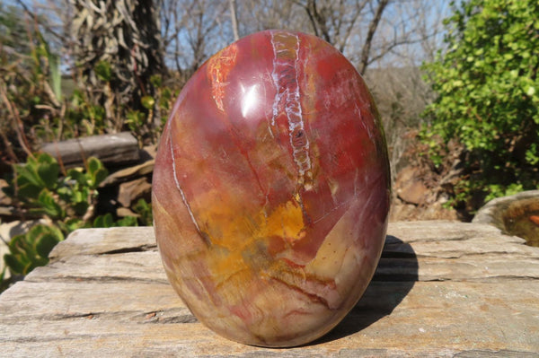 Polished Red Podocarpus Petrified Wood Standing Free Form x 1 From Mahajanga, Madagascar - Toprock Gemstones and Minerals 