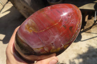 Polished Red Podocarpus Petrified Wood Standing Free Form x 1 From Mahajanga, Madagascar - Toprock Gemstones and Minerals 