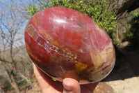 Polished Red Podocarpus Petrified Wood Standing Free Form x 1 From Mahajanga, Madagascar - Toprock Gemstones and Minerals 