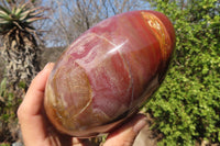 Polished Red Podocarpus Petrified Wood Standing Free Form x 1 From Mahajanga, Madagascar - Toprock Gemstones and Minerals 