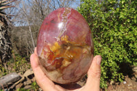 Polished Red Podocarpus Petrified Wood Standing Free Form x 1 From Mahajanga, Madagascar - Toprock Gemstones and Minerals 