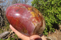 Polished Red Podocarpus Petrified Wood Standing Free Form x 1 From Mahajanga, Madagascar - Toprock Gemstones and Minerals 