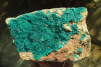 Natural Large Emerald Dioptase Dolomite Specimen  x 1 From Congo - Toprock Gemstones and Minerals 