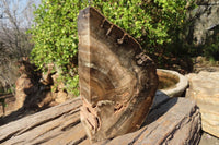 Polished Petrified Ironwood Bookends x 2 From Zimbabwe - Toprock Gemstones and Minerals 