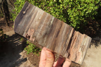 Polished Petrified Ironwood Bookends x 2 From Zimbabwe - Toprock Gemstones and Minerals 