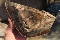 Polished Petrified Ironwood Bookends x 2 From Zimbabwe - Toprock Gemstones and Minerals 