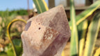 Natural Large Amethyst Crystals x 6 From Zambia - Toprock Gemstones and Minerals 