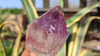 Natural Large Amethyst Crystals x 6 From Zambia - Toprock Gemstones and Minerals 