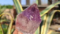 Natural Large Amethyst Crystals x 6 From Zambia - Toprock Gemstones and Minerals 