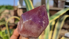 Natural Large Amethyst Crystals x 6 From Zambia - Toprock Gemstones and Minerals 
