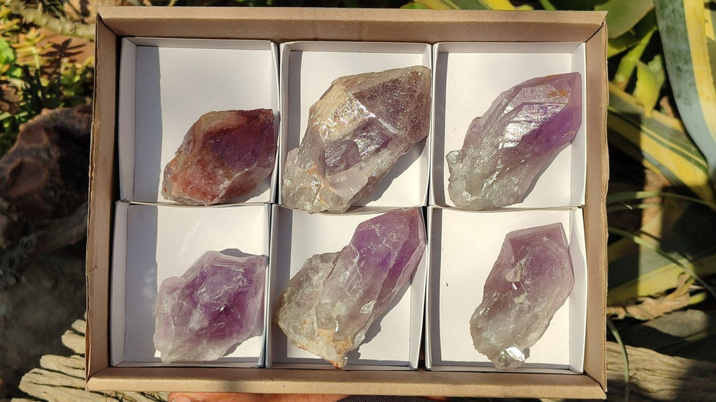 Natural Large Amethyst Crystals x 6 From Zambia - Toprock Gemstones and Minerals 
