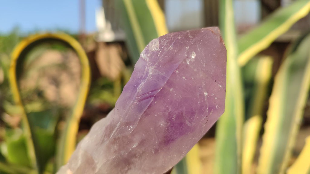 Natural Large Amethyst Crystals x 6 From Zambia - Toprock Gemstones and Minerals 