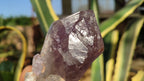 Natural Large Amethyst Crystals x 6 From Zambia - Toprock Gemstones and Minerals 