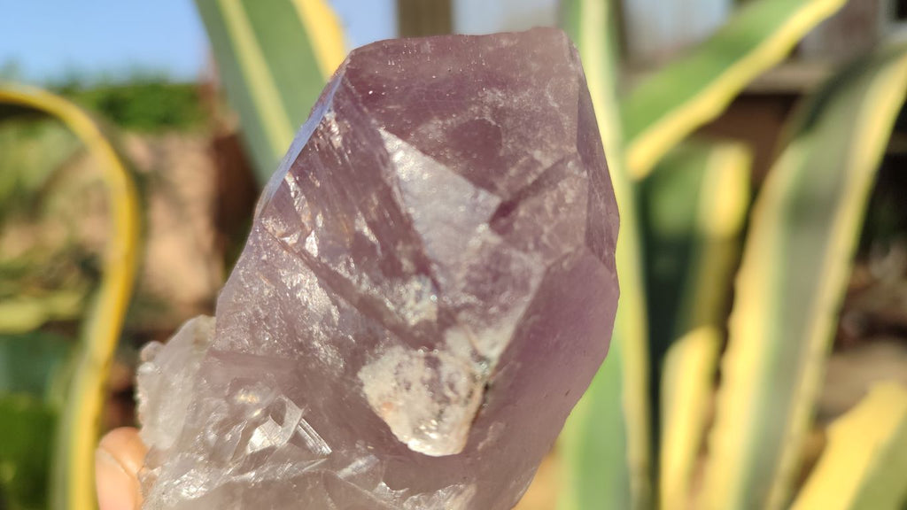 Natural Large Amethyst Crystals x 6 From Zambia - Toprock Gemstones and Minerals 