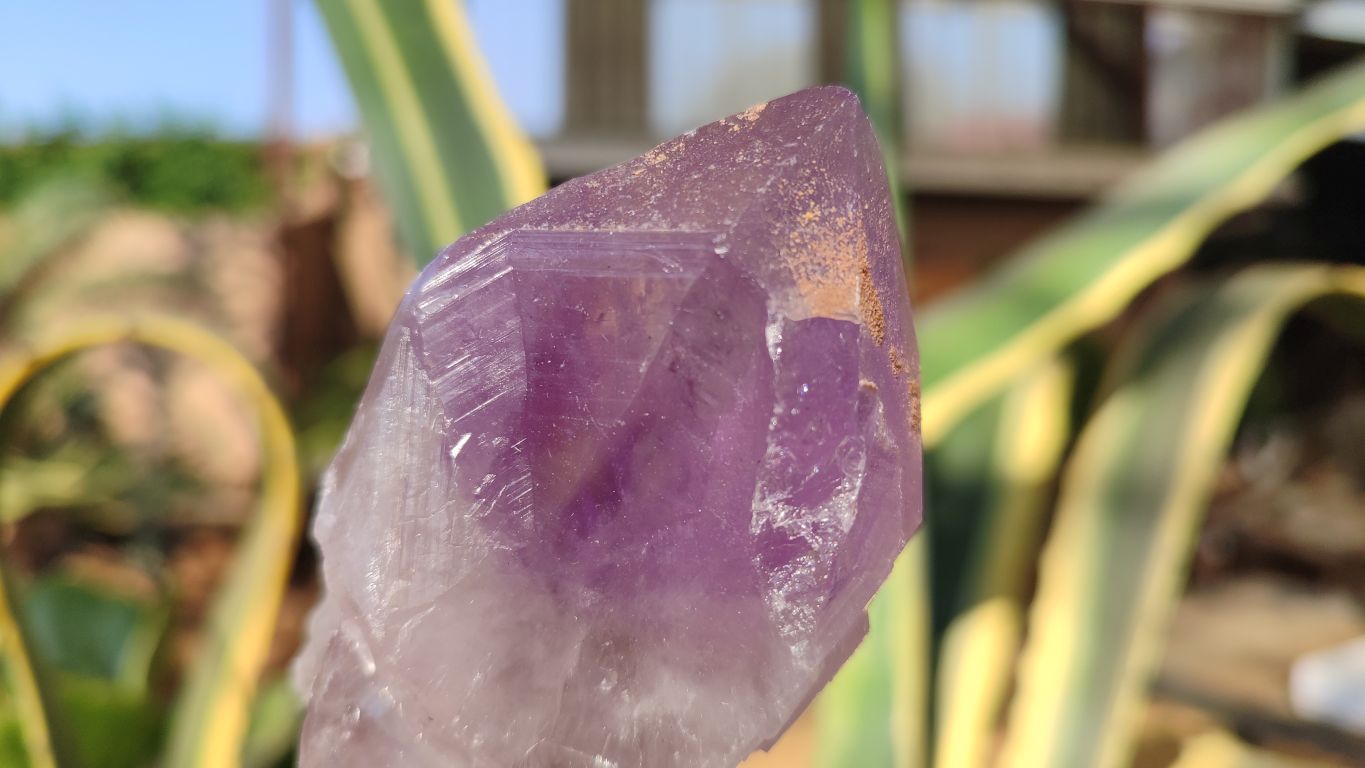 Natural Large Amethyst Crystals x 6 From Zambia - Toprock Gemstones and Minerals 